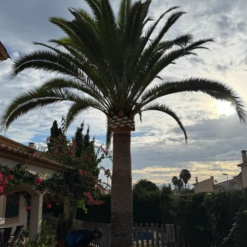 WhatsApp Image 2025-11-04 at 12.50.16