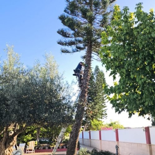 WhatsApp Image 2025-11-04 at 12.50.21 (2)