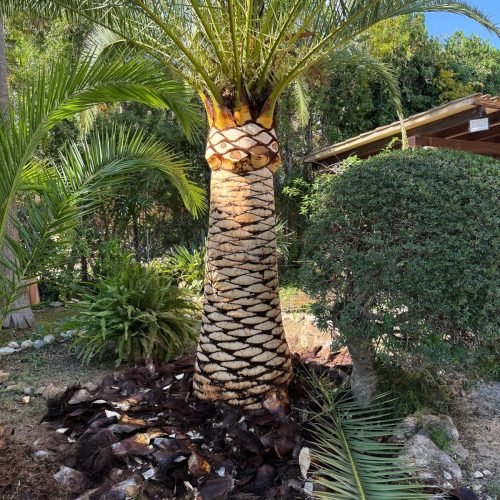 WhatsApp Image 2025-11-04 at 12.50.21