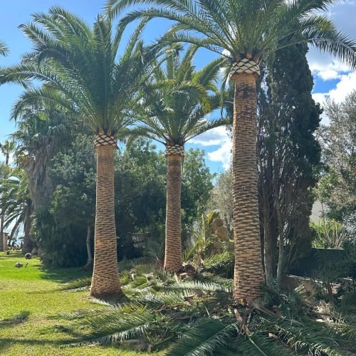 WhatsApp Image 2025-11-04 at 12.50.27