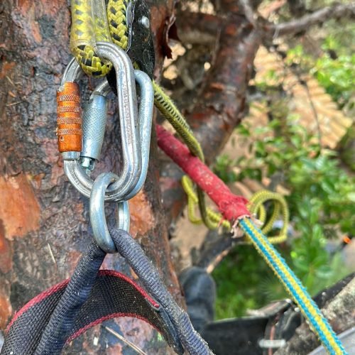 WhatsApp Image 2025-11-04 at 12.50.30